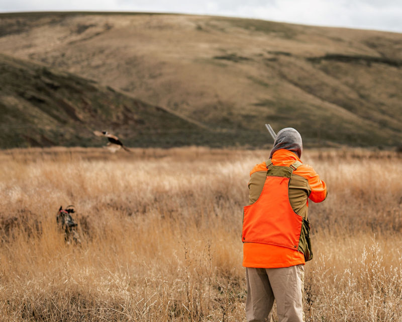 Ruggs Ranch, OR -  image number 3