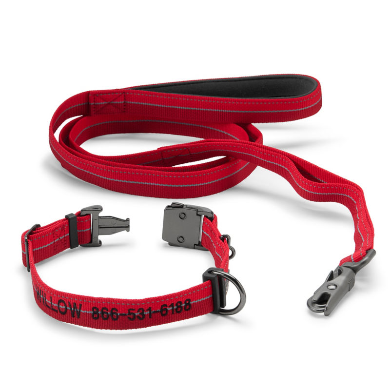 Tough Trail&reg; Collar & Leash Bundle - RED image number 0