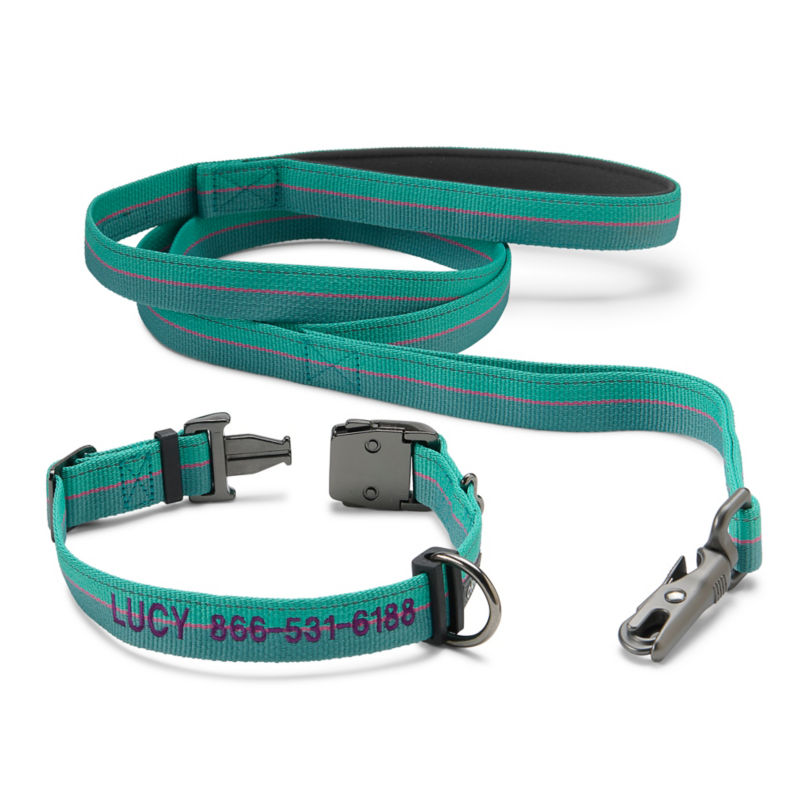 Tough Trail&reg; Collar & Leash Bundle - TEAL image number 0