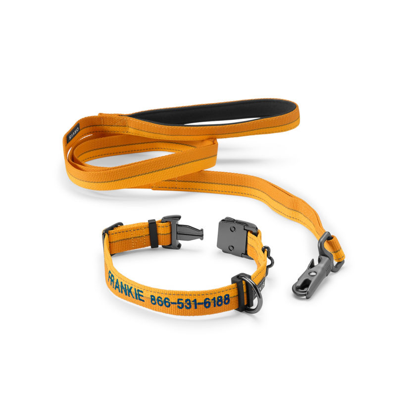 Tough Trail&reg; Collar & Leash Bundle - YELLOW image number 0