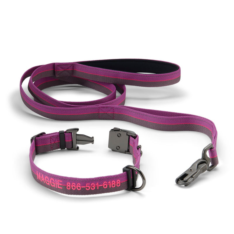 Tough Trail&reg; Collar & Leash Bundle - PURPLE image number 0