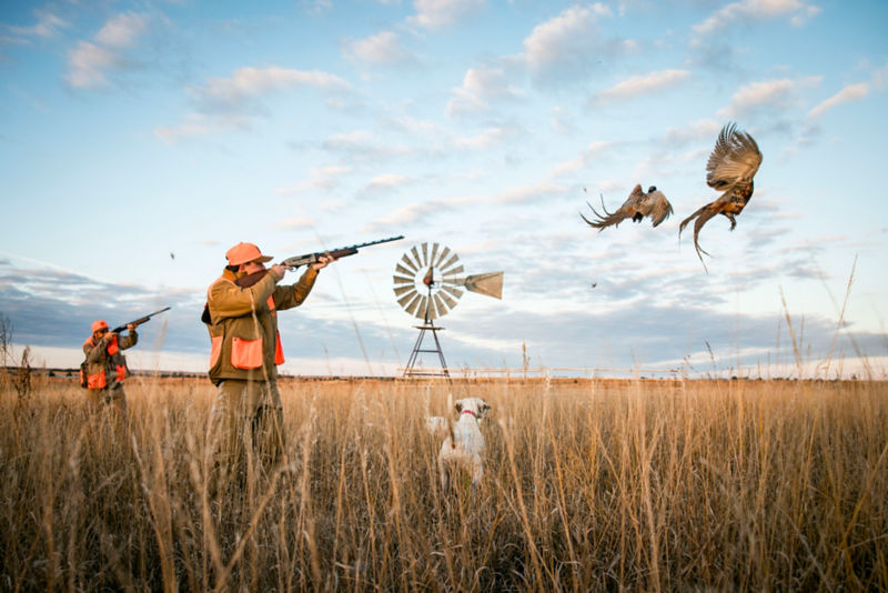 Mossy Pond Lodge, NE - 