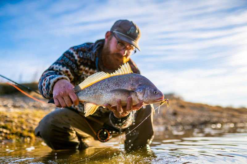 Fatties on the Fly, TX -  image number 1