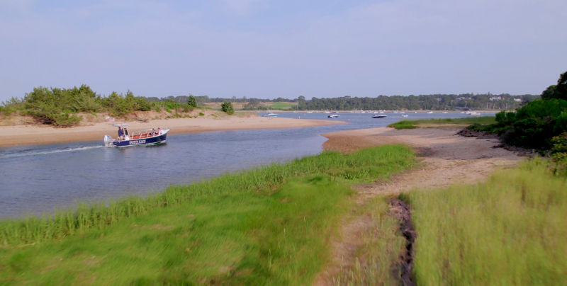 Cape Cod Fly Fishing School - Wequassett Resort -  image number 2