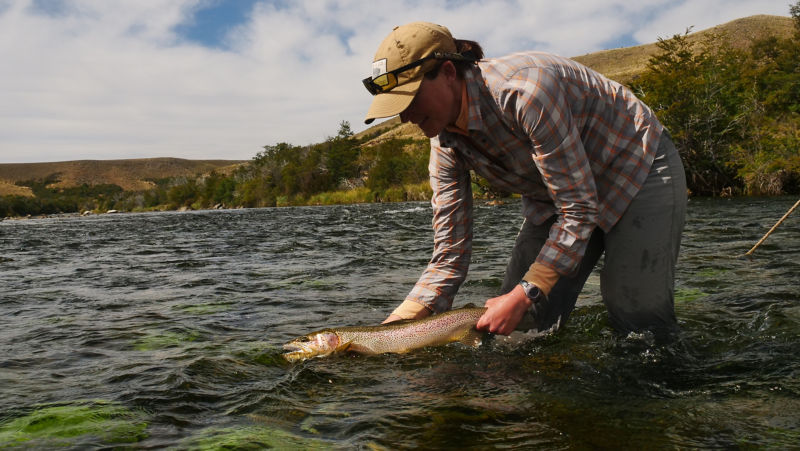 Argentine Waters With Tom Rosenbauer -  image number 3