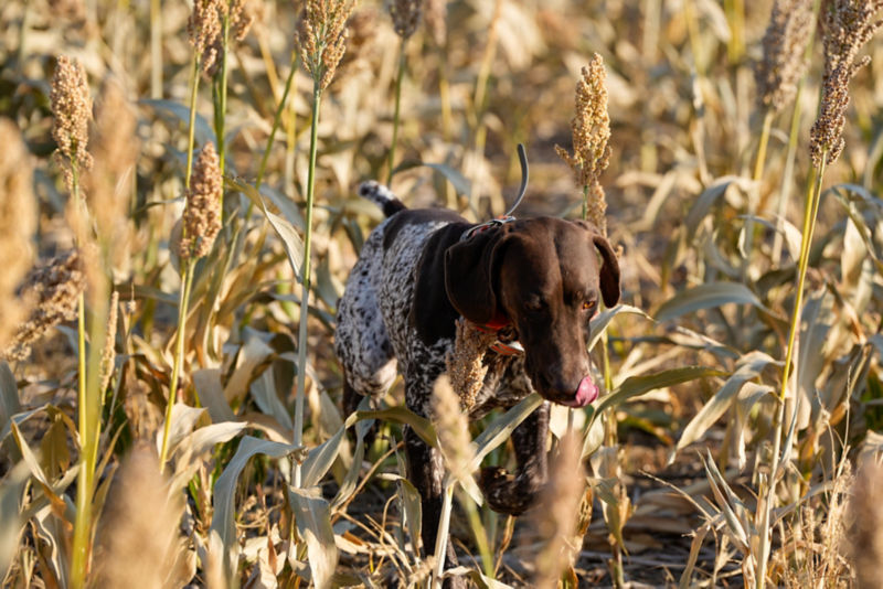 Lazy J Sporting Club, SD - 