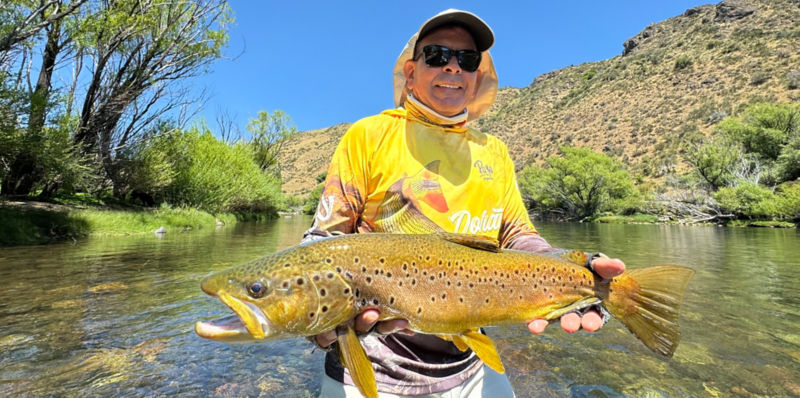 Bravo Sur Lodge -  image number 2