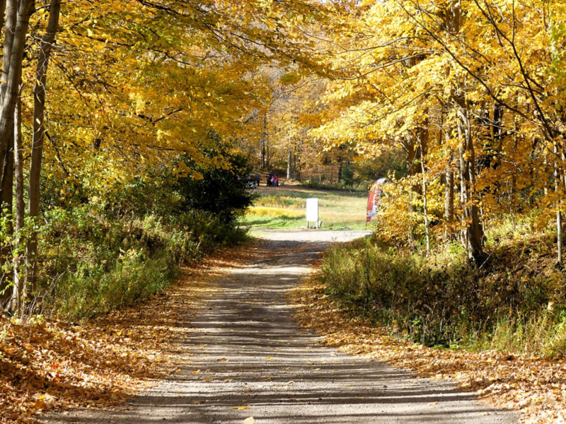 Vernon National Shooting Preserve, NY -  image number 4