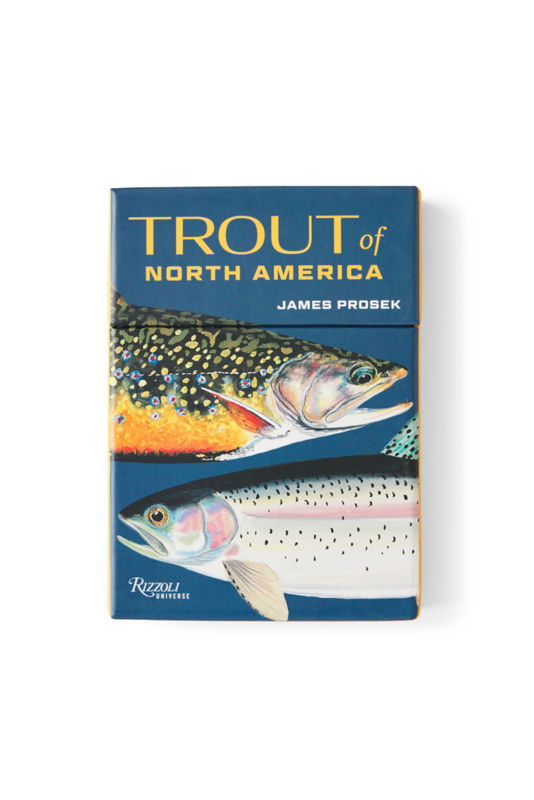 Trout of North America Cards - 