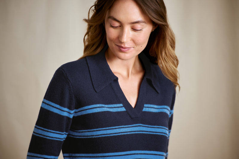 Brookside Striped Polo Sweater - NAVY/BLUE JAY STRIPE image number 1