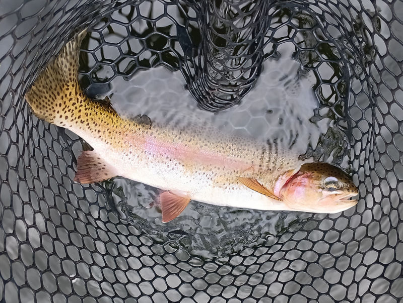 Paul Starring, New Hampshire -  image number 2