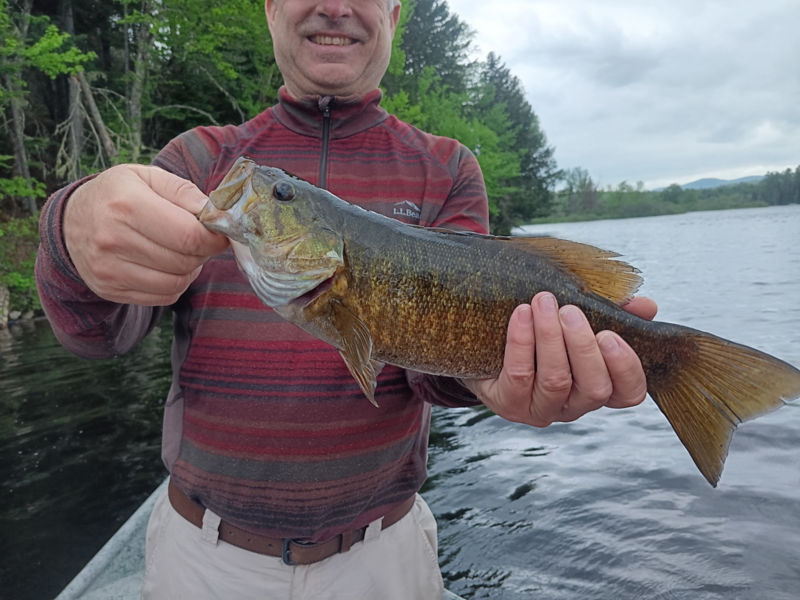 Paul Starring, New Hampshire -  image number 3