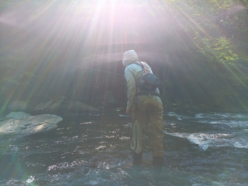 Paul Starring, New Hampshire -  image number 5