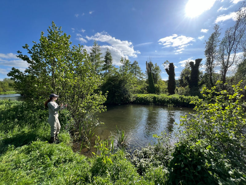 Chad Critchley -  image number 3