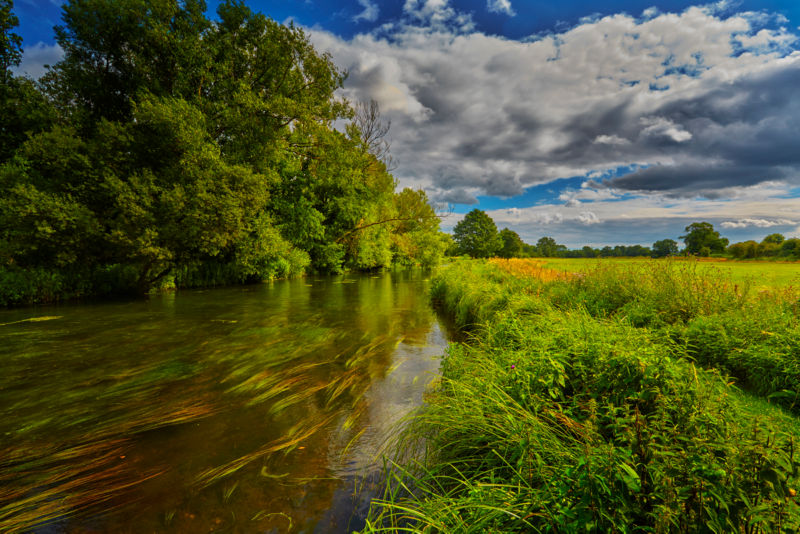 Brett O'Connor, Hampshire -  image number 4