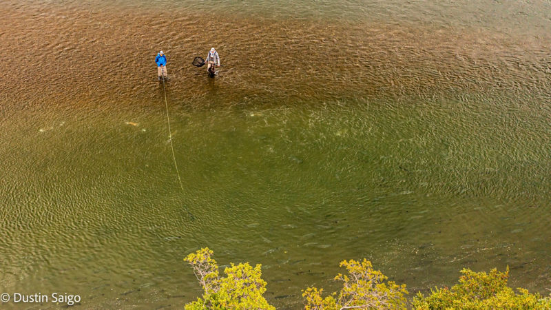 Reel Action Fly Fishing - 