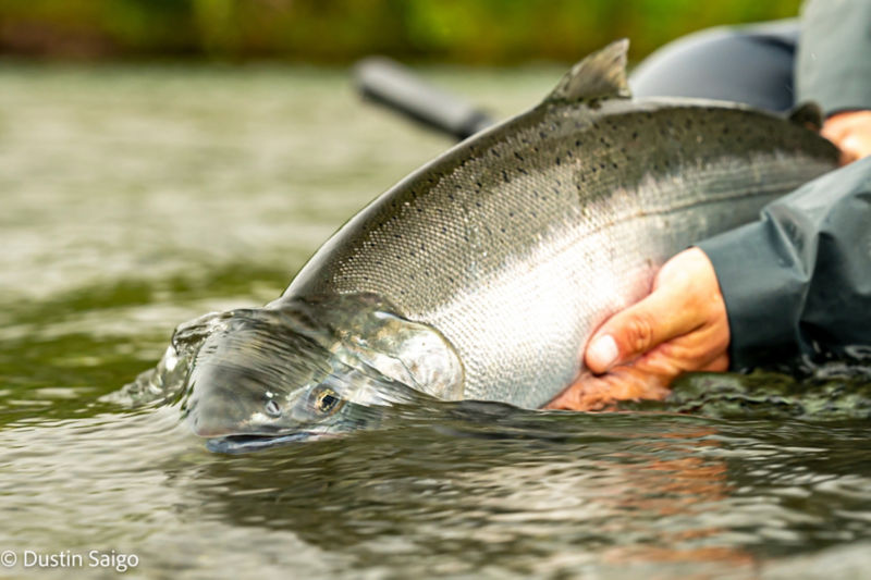 Reel Action Fly Fishing -  image number 5