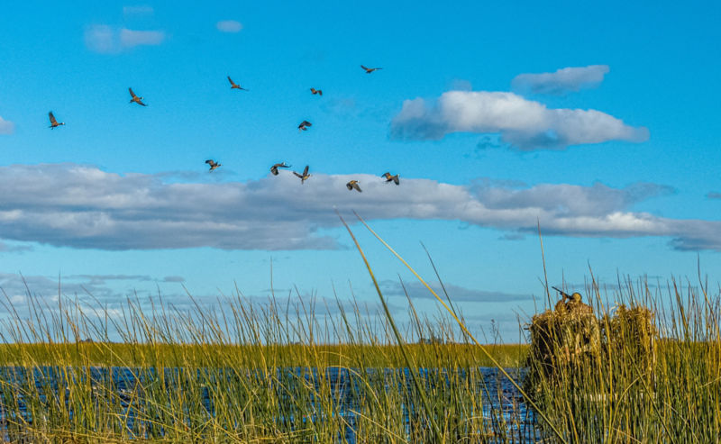Estancia Santa Rita - 