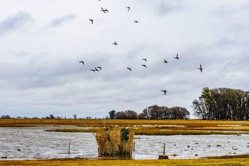 Estancia Santa Rita -  image number 2