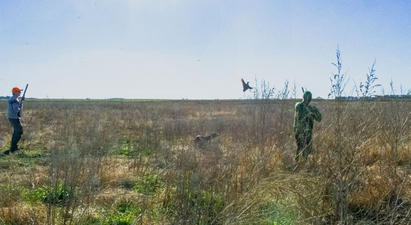 Estancia Santa Rita -  image number 4