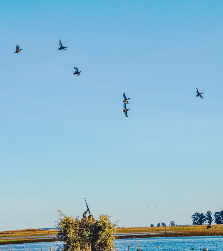 Estancia Santa Rita -  image number 5