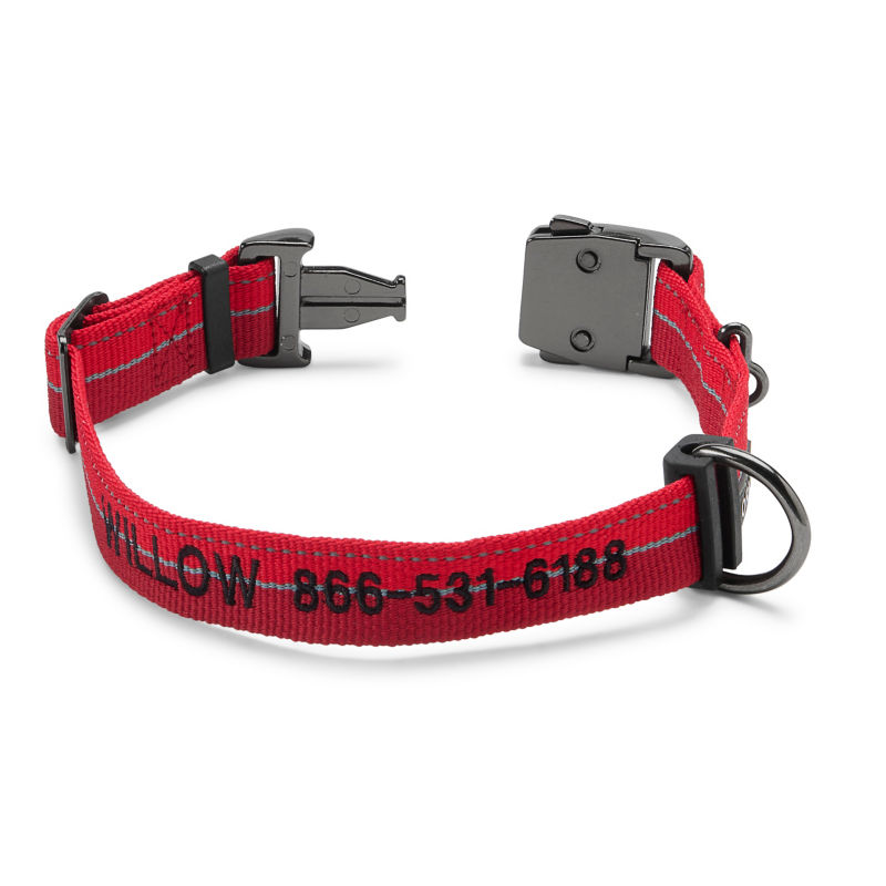 Tough Trail&reg; Collar 2.0 - RED image number 0