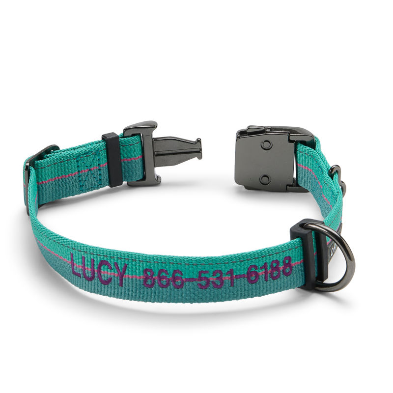 Tough Trail&reg; Collar 2.0 - TEAL image number 0