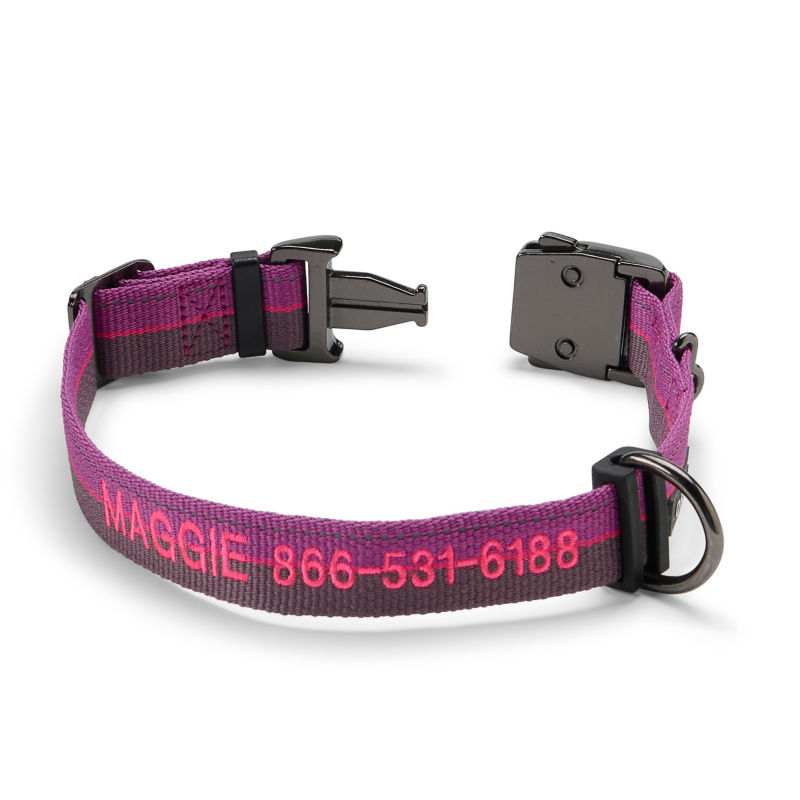 Tough Trail&reg; Collar 2.0 - PURPLE image number 0