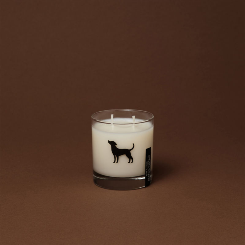 Ranger Station Bark Ranger Candle - 
