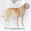 Fetching Pint Glass - YELLOW LAB