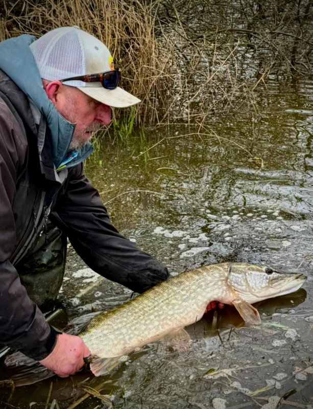 Rodney Wevill -  image number 2