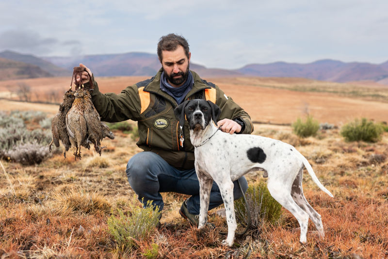 Ourano Pointers - 
