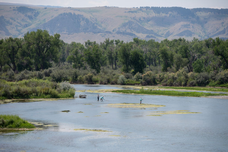 Bighorn Trout Shop, MT - 