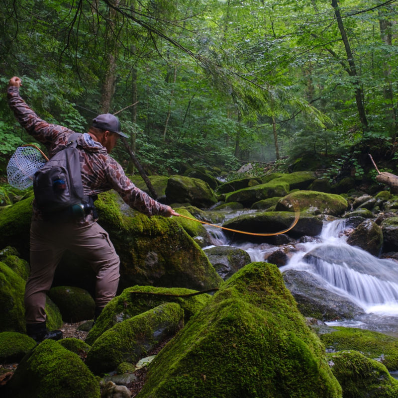 Owen Ward, VT -  image number 1