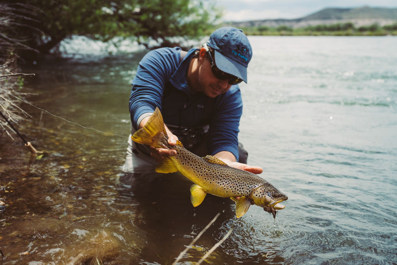 Spring Creek Lodge -  image number 2