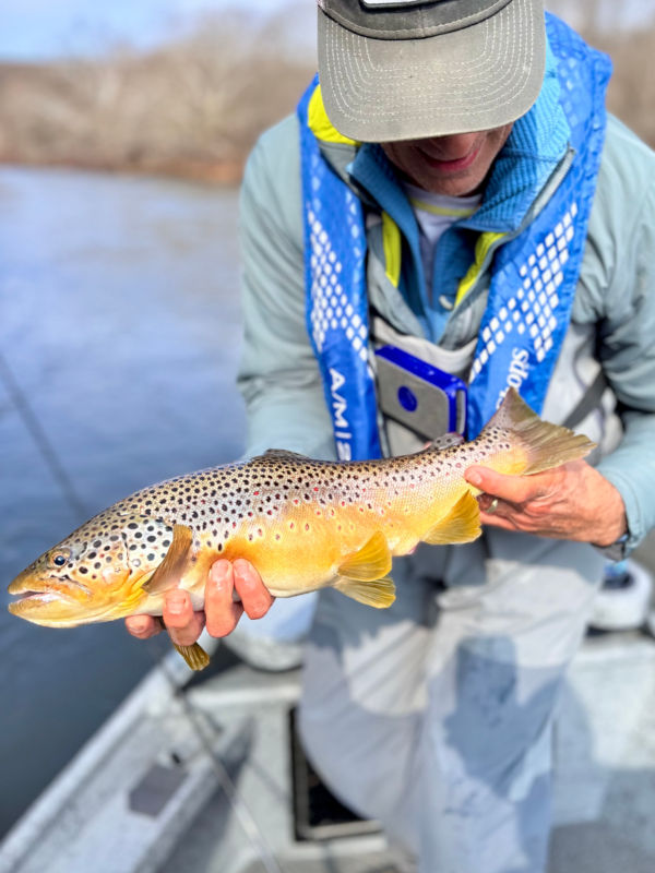 Eric Bailey, PA -  image number 5