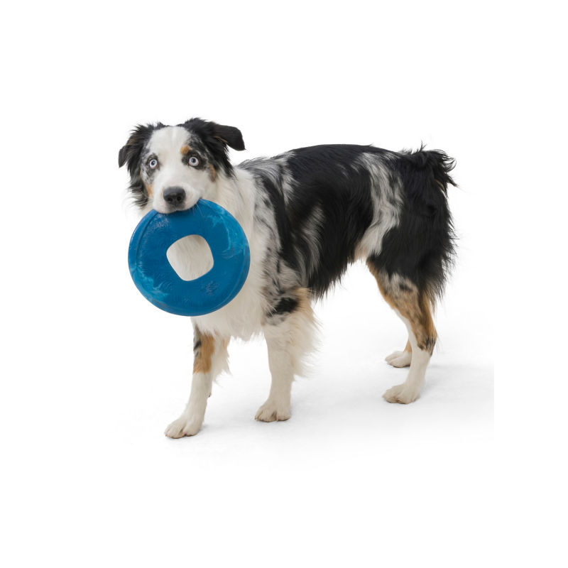 West Paw&reg; Dog Frisbee -  image number 1