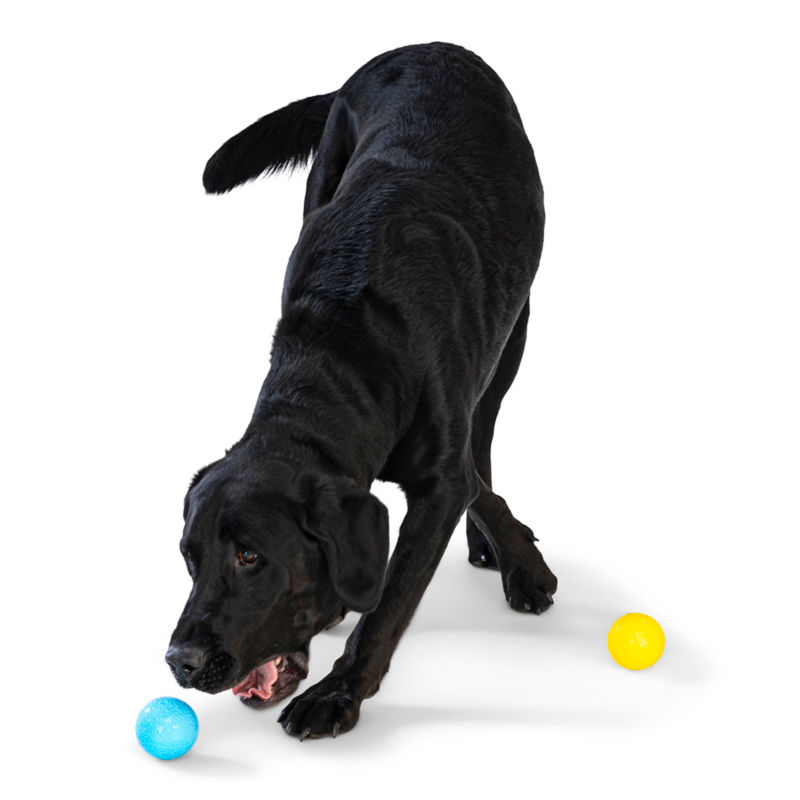 West Paw&reg; Floating Fetch Ball 2-Pack -  image number 3