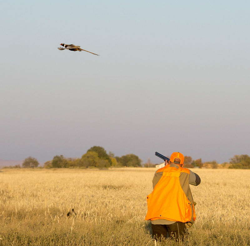 Falcon's Ledge, UT - 