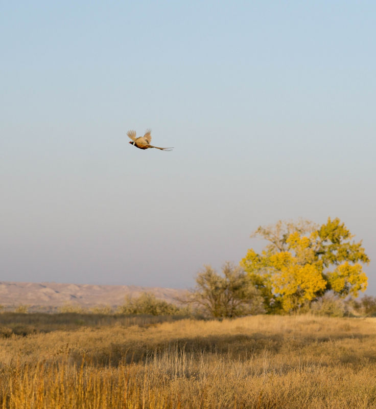 Falcon's Ledge, UT -  image number 1