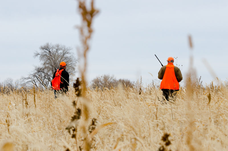 Falcon's Ledge, UT -  image number 2