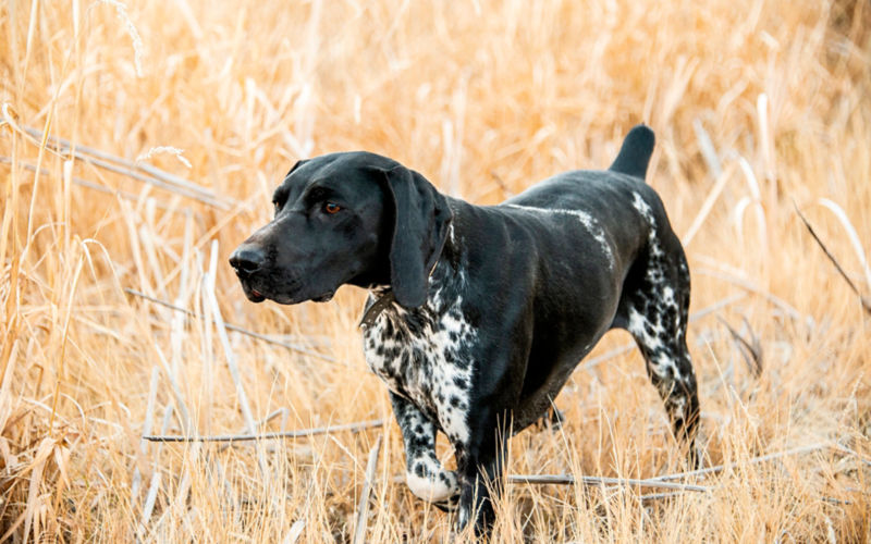 Falcon's Ledge, UT -  image number 4