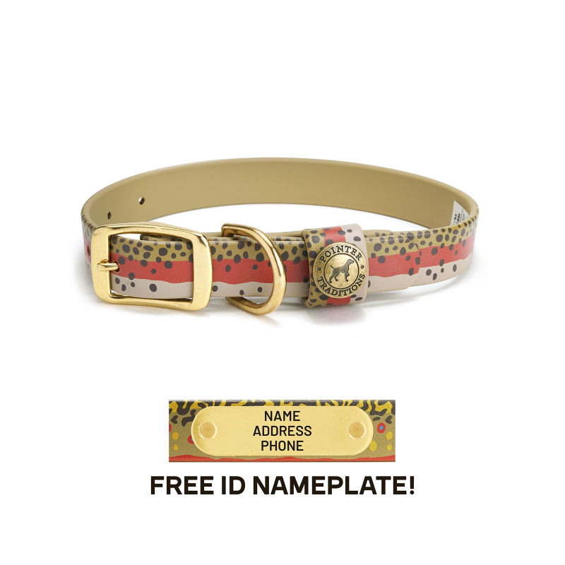 Waterproof Sporting Dog Collar - RAINBOW TROUT image number 1