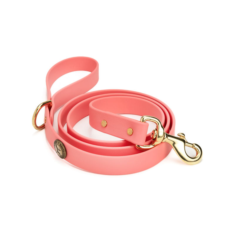 Waterproof Sporting Dog Leash - CORAL image number 0