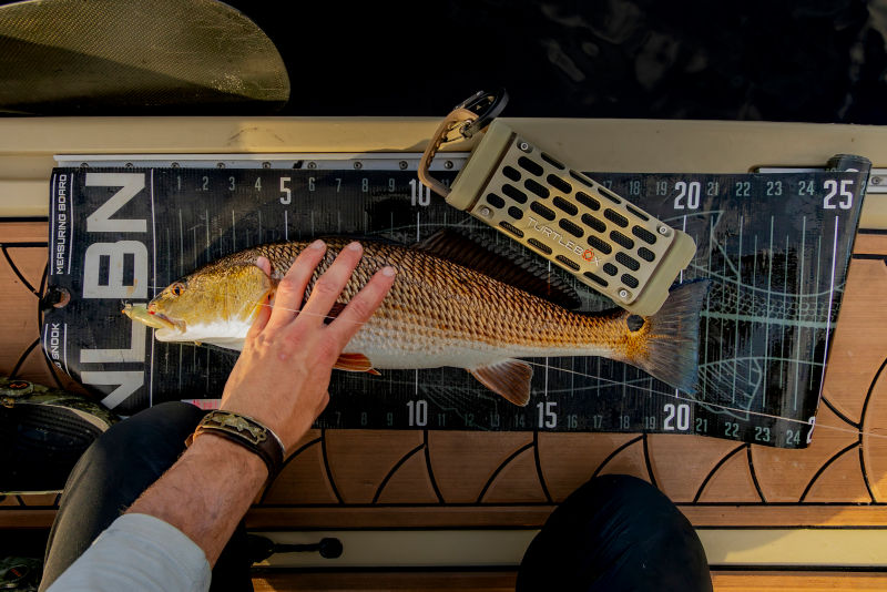 Turtlebox&reg; Ranger Mini Speaker - TAN image number 3