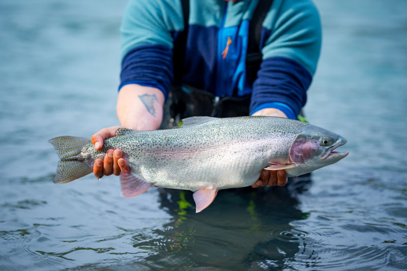 Fishology LLC, AK -  image number 1