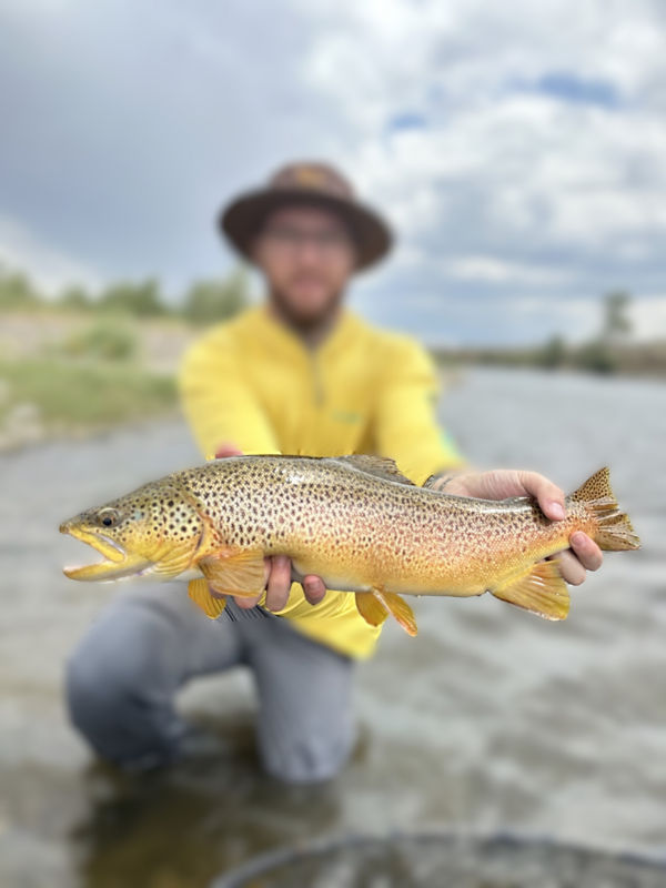 Imagine That Outfitters, WY - 