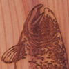 Orvis x Wayward Engraved Fly Box - BROWN TROUT