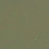 Atollas 1GO Fly Box - OLIVE