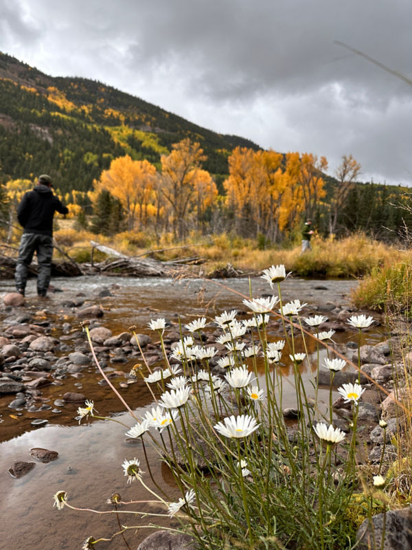 Kelley Ruppert, NM -  image number 1
